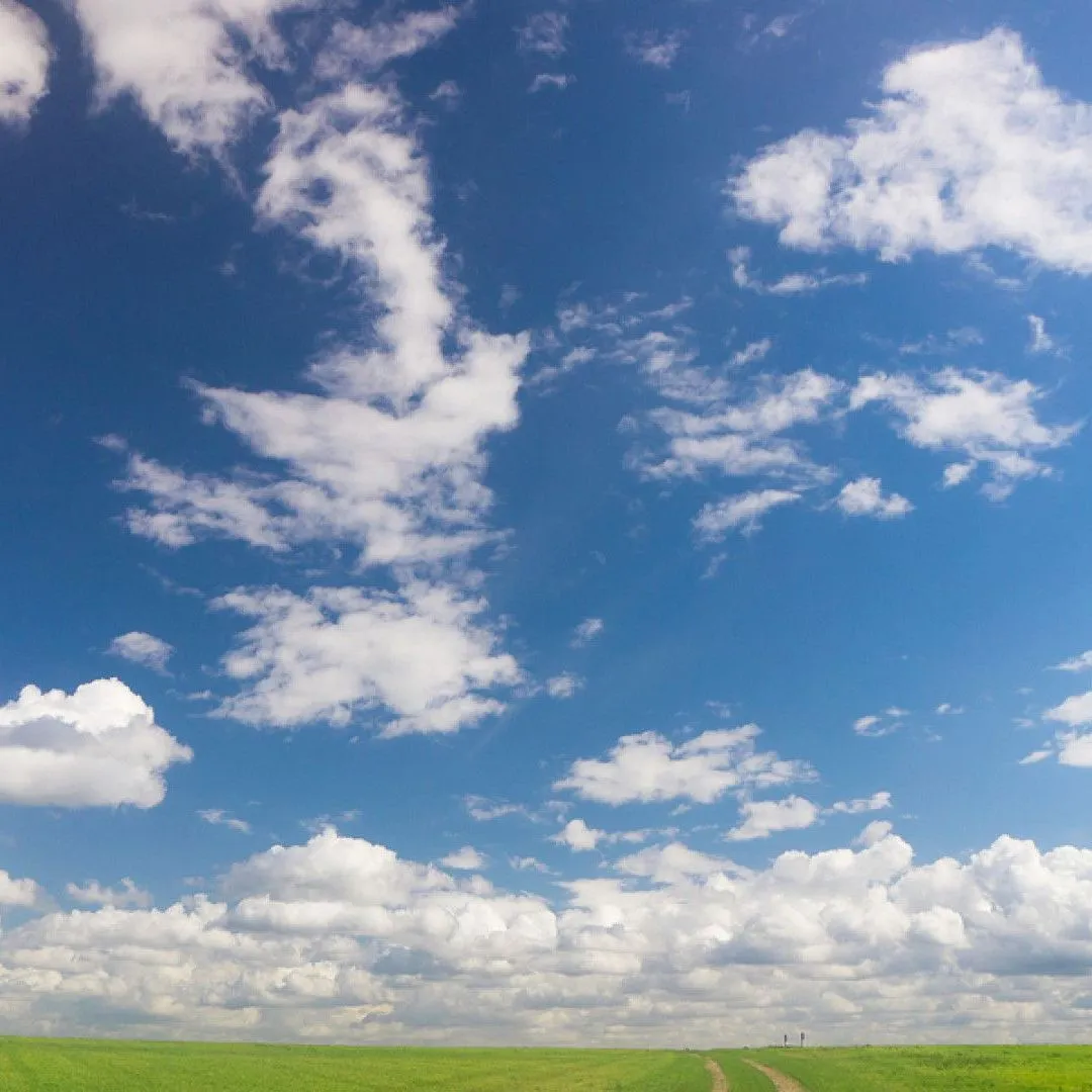 A vast green field under a wide, blue sky filled with scattered white cumulus clouds.