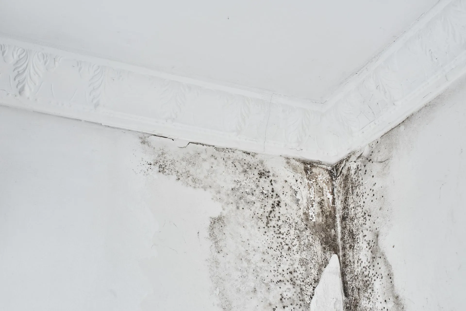 Black mold spots along the sealant and frame of a white plastic window, indicating moisture and condensation issues.